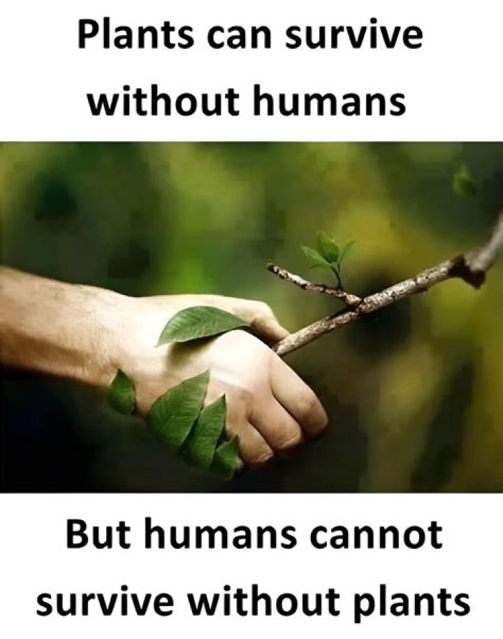 Can humans survive without nature? ·