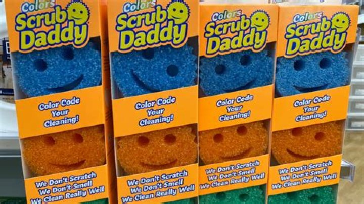 Exploring Scrub Daddy's Remarkable Net Worth